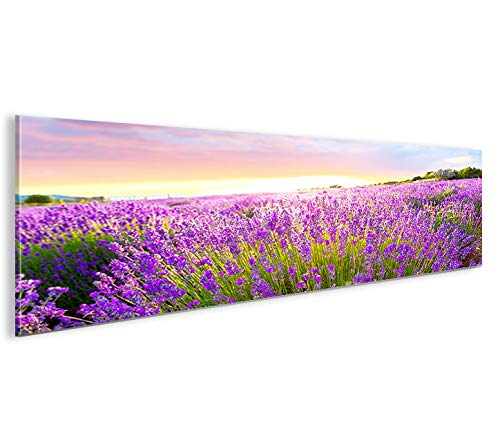 islandburner Cuadro imágenes sobre Lienzo Campo de Lavanda Panorama XXL Póster Lienzo – Cuadro Up Your Life®