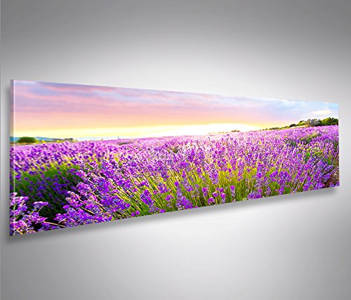 islandburner Cuadro imágenes sobre Lienzo Campo de Lavanda Panorama XXL Póster Lienzo – Cuadro Up Your Life®