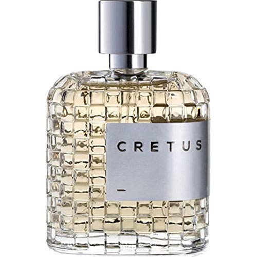 LPDO CRETUS EQUIVALENT CREED AVENTUS PERFUME UNISEX INTENSE | EDP 100 ML