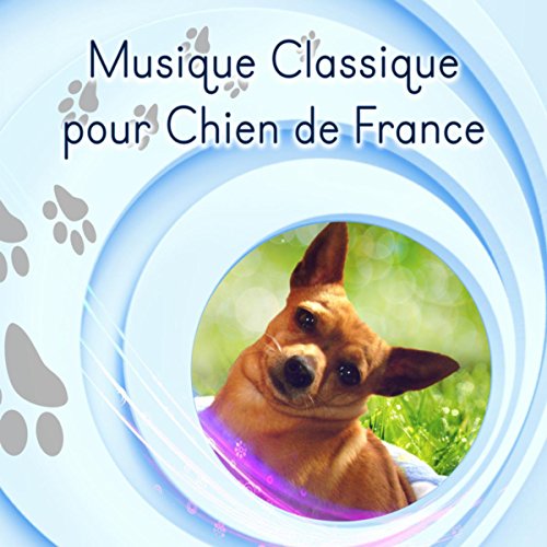 Musique Classique pour Chien de France – Musique Instrumentale pour la Délicatesse, Sensible, Exigeant, Musique Douce