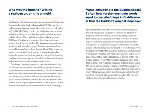 NO-NONSENSE BUDDHISM FOR BEGIN: Clear Answers to Burning Questions about Core Buddhist Teachings