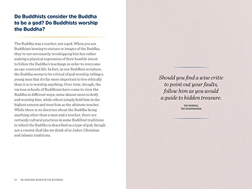 NO-NONSENSE BUDDHISM FOR BEGIN: Clear Answers to Burning Questions about Core Buddhist Teachings