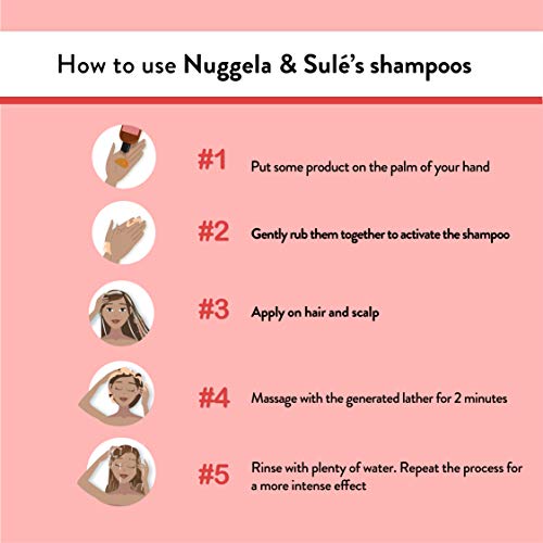 Nuggela & Sule Epigenetico Champú Cabello Graso - 250 ml