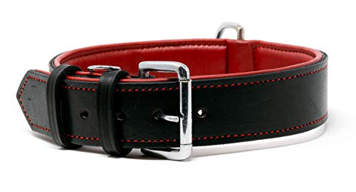 Riparo - Collar ajustable de piel auténtica acolchada para perro K-9 (3,8 cm de ancho, para cuello de 45,7 cm a 53,3 cm (grande, hilo negro/rojo)