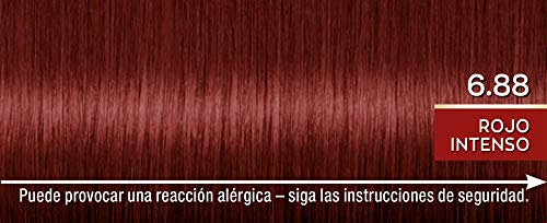 Schwarzkopf Palette Naturals - Coloración Permanente Tono 6.88 Rojo Intenso, 550 gr (Pack de 5)