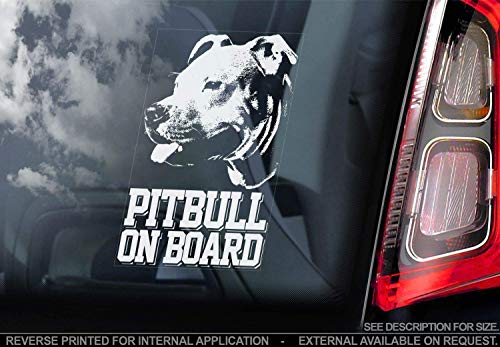 Sticker International Pitbull - Adhesivo Coche - Perro Firmar Ventana, Parachoques Pegatina Regalo - V001 - Blanco/Claro - Interno Marcha Atrás Estampado, 165x100mm