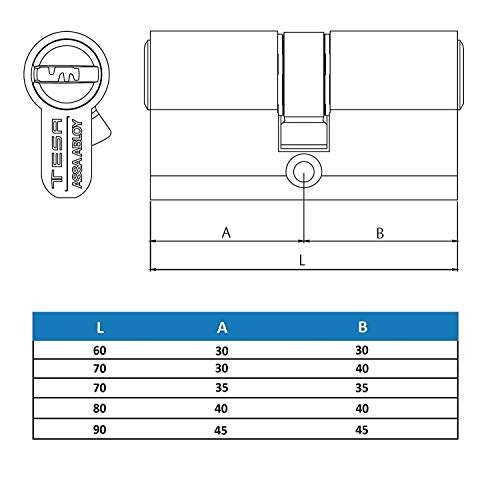 TESA 3019000 Cilindro Seguridad T70 30x30 Latonado Leva Larga, 30x30 mm