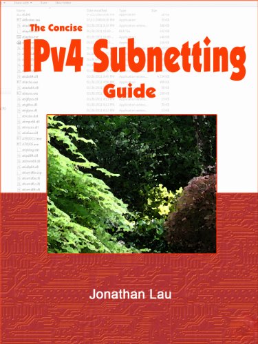 The Concise IPv4 Subnetting Guide (English Edition)