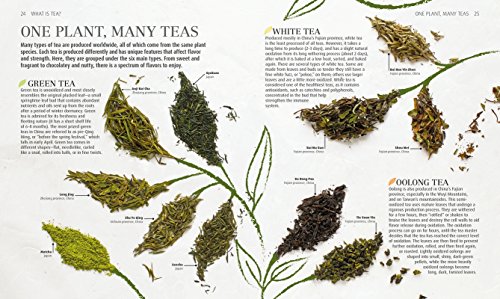 The Tea Book: Experience the World S Finest Teas, Qualities, Infusions, Rituals, Recipes