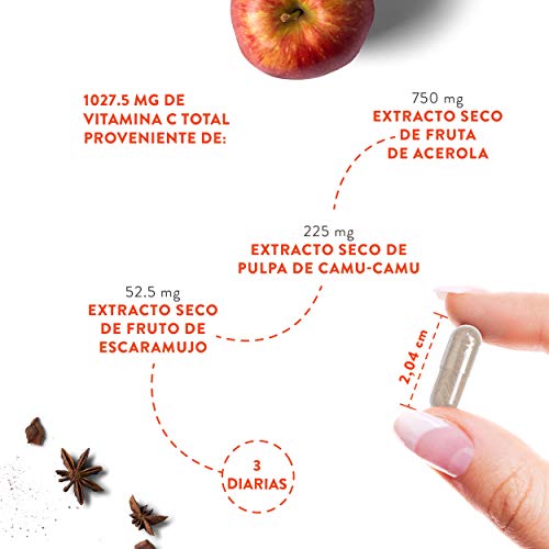 Vitamina C Pura Altamente Concentrada - Más de 1000 mg por Dosis Diaria [1027 mg] - 180 Cápsulas - Con Flavonoides de Fruta Cítrica, Camu Camu y Acerola - Complemento Alimenticio 100% Vegano