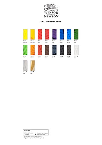 Winsor & Newton tinta para caligrafía - Frasco de 30 ml, color negro