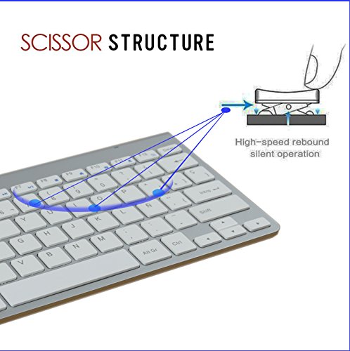 Zienstar -2.4Ghz Teclado Inalámbrico con Receptor USB para la Computadora, el Ordenador Portátil, la Caja de la TV y el Smart TV (Español Carta)