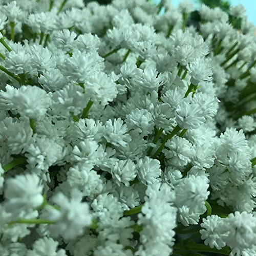 Aisamco Paquete de 2 Artificial Baby's Breath 14 Tenedores, gypsophila Artificial en Blanco 15.7"de Altura para Corona de Pieza Central de Boda