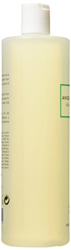 Angel Schlesser - Agua de vetiver - Gel de ducha para hombres - 500 ml