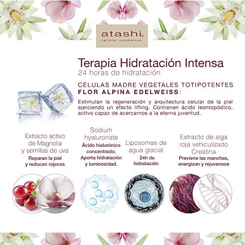 Atashi Firmeza y Luminosidad - Terapia Hidratación Intensa | Calma Rojeces | Previene Arrugas y Manchas | Sensación Confort | Liposomas de Agua Glaciar | Perfecta Para Pieles Sensibles - 50ml