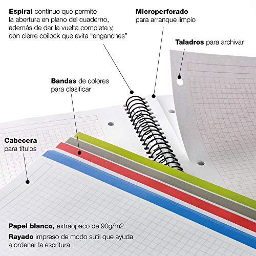 Basicos MR 42005, Cuaderno A5 (8 Colores, 200 Hojas, 5 mm, Tapa de Polipropileno), Azul