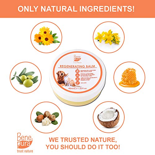 Bene Pura Trust Nature Bálsamo para Mascotas 100% Natural Regenerador - para Patas, Nariz y Piel - para Perros y Gatos 40ml