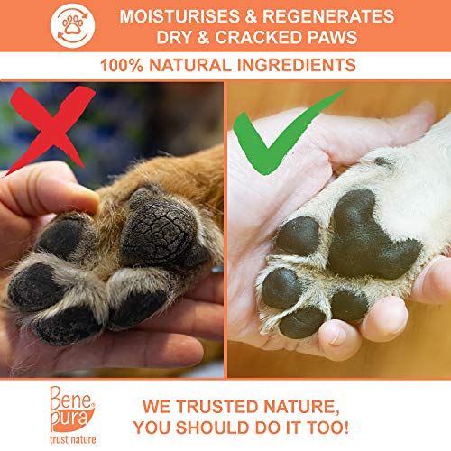 Bene Pura Trust Nature Bálsamo para Mascotas 100% Natural Regenerador - para Patas, Nariz y Piel - para Perros y Gatos 40ml