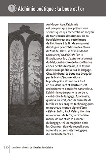 Bibliolycée Les Fleurs du mal Baudelaire BAC 2020 - Parcours Alchimie poétique (texte intégral)