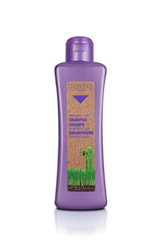 Biokera salerm champú grapeology 1000ml