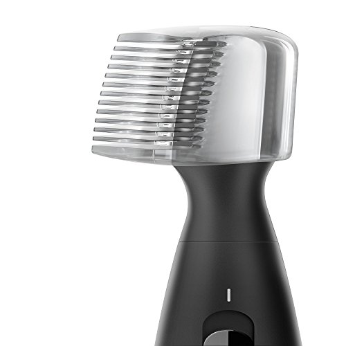 Braun PT 5010 - Recortadora de barba de precisión, color negro, pilas, 2015