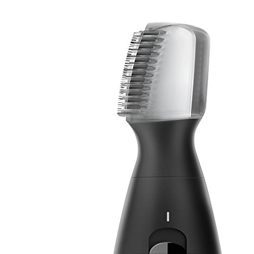 Braun PT 5010 - Recortadora de barba de precisión, color negro, pilas, 2015