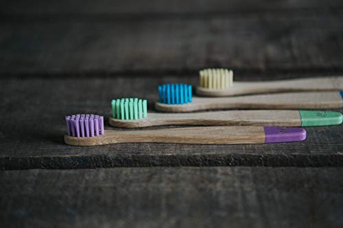 Cepillo de dientes de bambú orgánico para niños | Cuatro colores | Cerdas firmes de fibra de carbono | Mango 100% biodegradable | Cepillos de dientes veganos orgánicos | de Wild & Stone