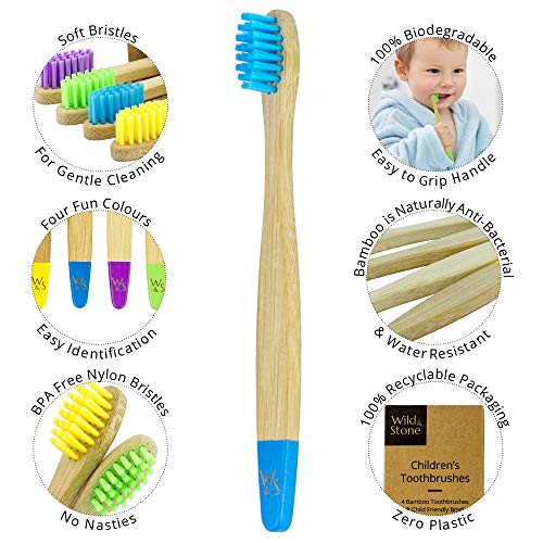 Cepillo de dientes de bambú orgánico para niños | Cuatro colores | Cerdas firmes de fibra de carbono | Mango 100% biodegradable | Cepillos de dientes veganos orgánicos | de Wild & Stone