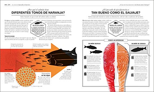 Cocinología: La ciencia de cocinar