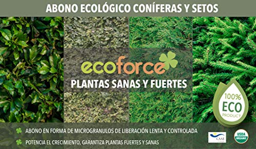 CULTIVERS Abono Ecológico Especial de 5 Kg Coníferas y Setos (Pinos, Abetos, Cipreses y Tuyas). Origen 100% Orgánico y Natural con Alta Concentración de NPK