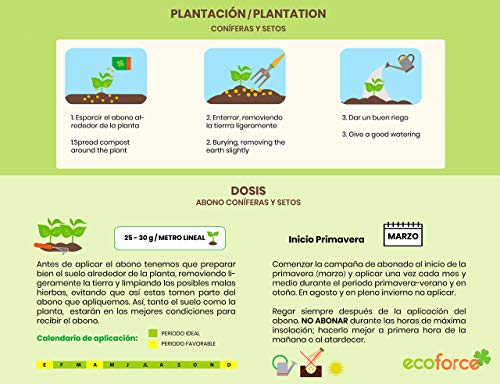 CULTIVERS Abono Ecológico Especial de 5 Kg Coníferas y Setos (Pinos, Abetos, Cipreses y Tuyas). Origen 100% Orgánico y Natural con Alta Concentración de NPK