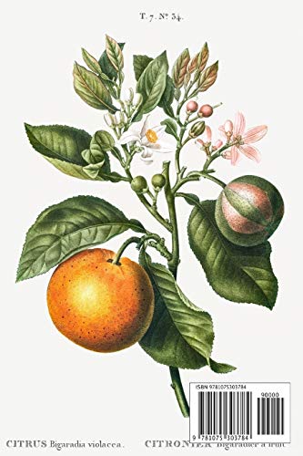 Designer Notizheft: liniert mit Motiv "Bitterorange (Citrus Bigaradia violacea)" von Pierre-Joseph Redouté, Notebook, Schreibheft etwa A5 (15,3 x 22,9 ... stilvolle Geschenkidee für Gartenliebhaber