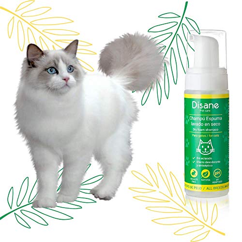 DISANE Champú Seco Gatos Natural 200ml | Espuma Lavado en Seco para Gatos, Sin Aclarado | Elimina la Suciedad y los Malos olores del Pelaje del Gato | Cruelty-Free