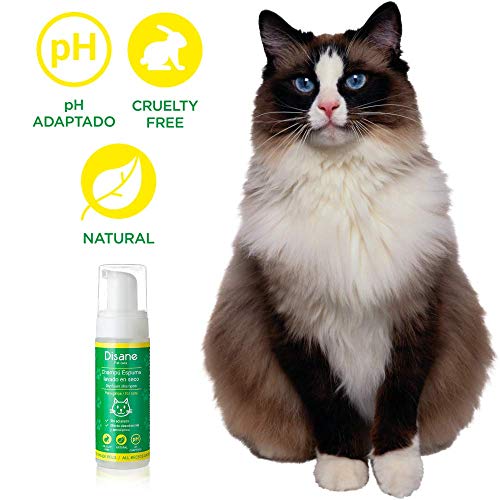 DISANE Champú Seco Gatos Natural 200ml | Espuma Lavado en Seco para Gatos, Sin Aclarado | Elimina la Suciedad y los Malos olores del Pelaje del Gato | Cruelty-Free