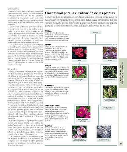 Enciclopedia de plantas y flores. The Royal Horticultural Society: Edición actualizada (Jardinería)