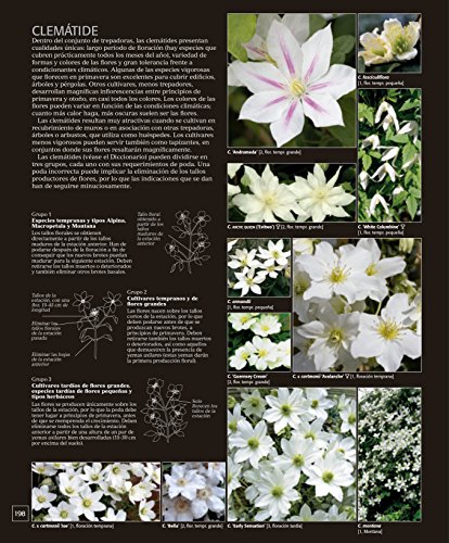 Enciclopedia de plantas y flores. The Royal Horticultural Society: Edición actualizada (Jardinería)