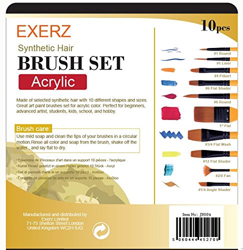 Exerz JH024 Artist Set de Pinceles – 10 Pinceles Profesionales con Cerdas de Cabello Sintético en un Estuche Viajero/Perfectos Para Usar con Acuarelas/Acrílico/Gouache/Pintura Facial