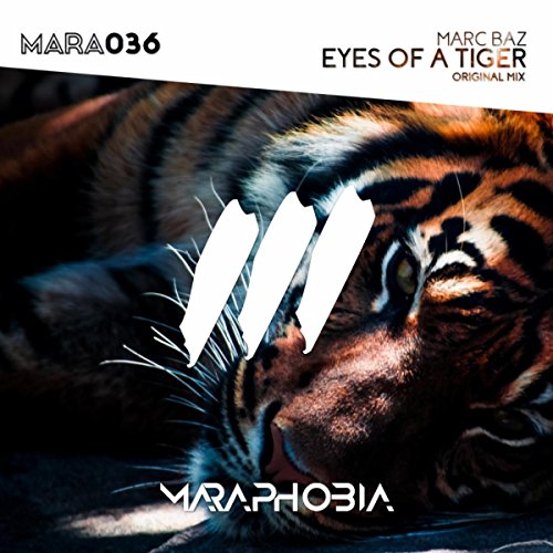 Eyes Of A Tiger (Original Mix)