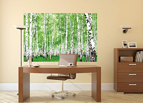 GREAT ART Set de 2 Posters XXL – Prado y Bosque de Verano - Bosque de abedules y Margaritas Naturaleza Paisaje Flores Primavera Flor decoración Foto (140 x 100 cm)