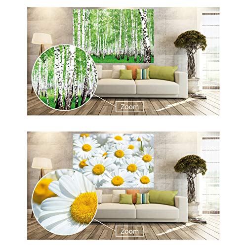 GREAT ART Set de 2 Posters XXL – Prado y Bosque de Verano - Bosque de abedules y Margaritas Naturaleza Paisaje Flores Primavera Flor decoración Foto (140 x 100 cm)