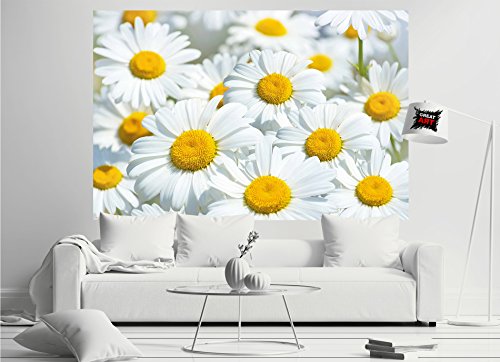 GREAT ART XXL Póster – Prado Margaritas – Mural Paraíso Naturaleza Flores Blancas Salón Flores Grandes Y Plantas con Motivos Póster De Pared Foto Y Decoración (140 X 100 Cm)