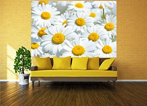 GREAT ART XXL Póster – Prado Margaritas – Mural Paraíso Naturaleza Flores Blancas Salón Flores Grandes Y Plantas con Motivos Póster De Pared Foto Y Decoración (140 X 100 Cm)