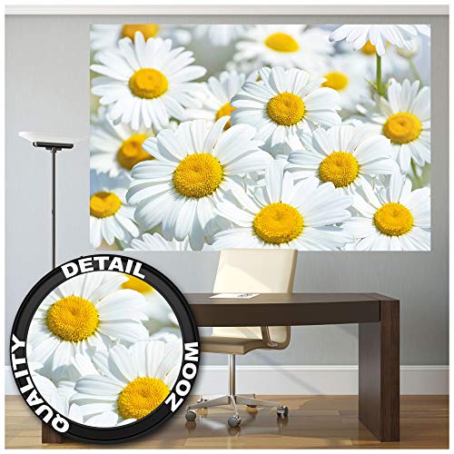 GREAT ART XXL Póster – Prado Margaritas – Mural Paraíso Naturaleza Flores Blancas Salón Flores Grandes Y Plantas con Motivos Póster De Pared Foto Y Decoración (140 X 100 Cm)