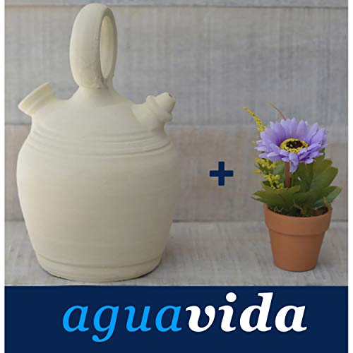 Hogar y Mas Set de Planta y Botijo dispensador de Agua H2O, 3,25 LTS Aprox. Sistema Natural de enfriamiento sostenible.