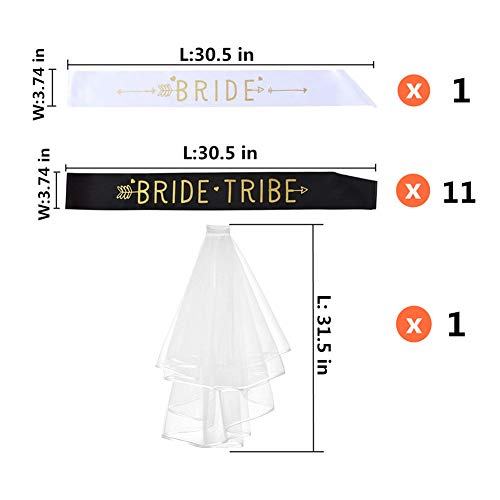 Juego de marcos para una fiesta de despedida de soltera de Tribu de la novia: 1 Novia que será el marco, 11 Tribu de la novia, 1 velo de novia con peine, Kit de decoraciones de boda compromiso