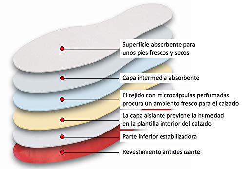 Lenzen 10 Pares de Plantillas Extra Finas para Pies Secos I Suelas Transpirables con una Superficie Absorbente I Suelas frescas con desodorante (45)