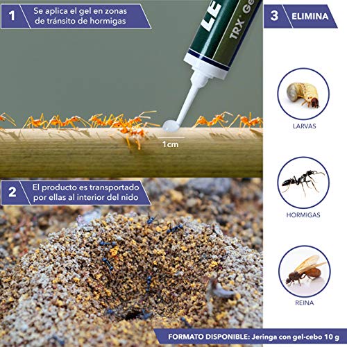 Letal TRX Gel Insecticida Hormigas - Cebo Mata Hormigas para Uso Doméstico de Zotal, Pack de 20 Gramos en Total. Elimina Colonias de Hormigas Que se Alimentan de Azúcares, Evitando su Proliferación