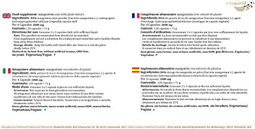 Mangostán 500mg 120 Cápsulas Vita World Farmacia Alemania - Antioxidante - Garcinia mangostana - Mangostino - Jobo de la India