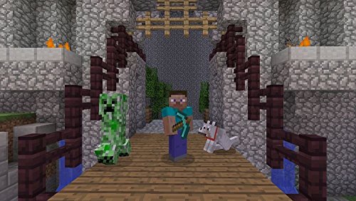 Minecraft - Edición Estándar, PlayStation 4, Disco, Versión 118