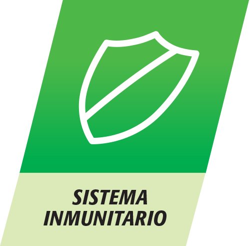 Multicentrum Select 50+, Complemento Alimenticio con 13 Vitaminas y 11 Minerales, para Adultos a partir de los 50 años - 90 Comprimidos